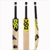 DSC Condor Flite English Willow Cricket Bat