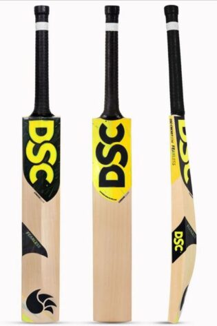DSC Condor Glider English Willow Cricket Bat