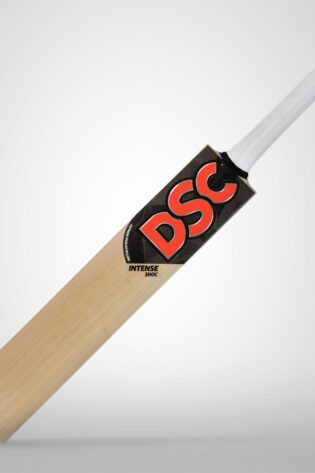 DSC Intense Shoc English Willow Cricket Bat