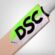 DSC Spliit Grade English Willow Cricket Bat