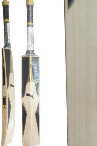 Puma EVO POWER SE Kashmiri Willow Cricket Bat
