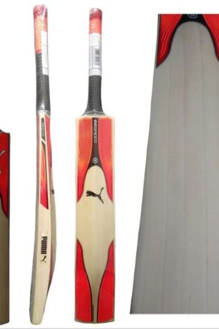 Puma EvoSpeed 2.17 English Willow Cricket Bat