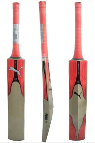 Puma EvoSpeed 4x Edge Kashmir Willow Cricket Bat