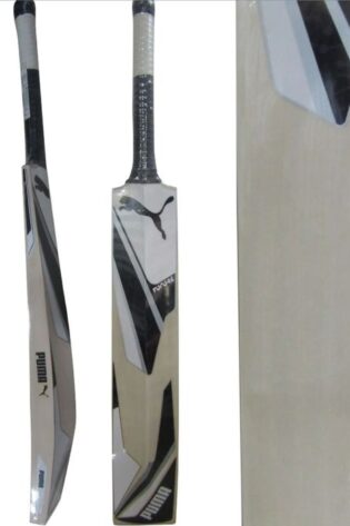 Puma Future 20.25 Kashmiri Willow Cricket Bat