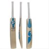SG Boundary Classic Top Quality Kashmir Willow Cricket Bat