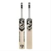 SG HP Plus Kashmiri Willow Cricket Bat
